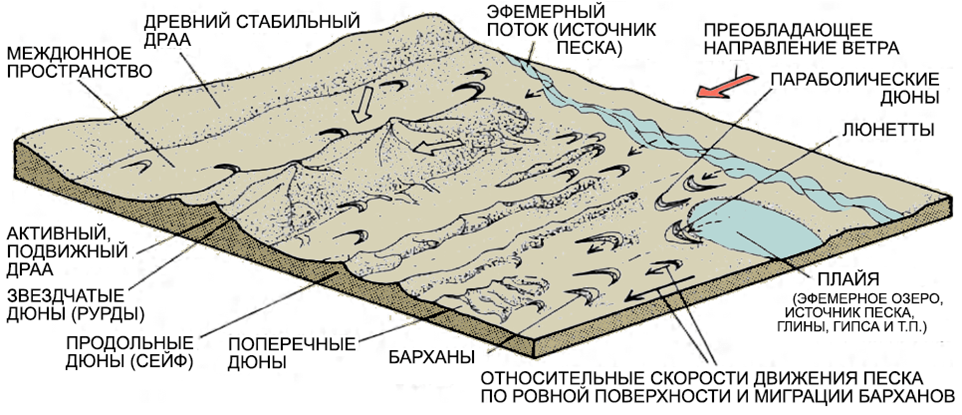 Основные эоловые формы рельефа