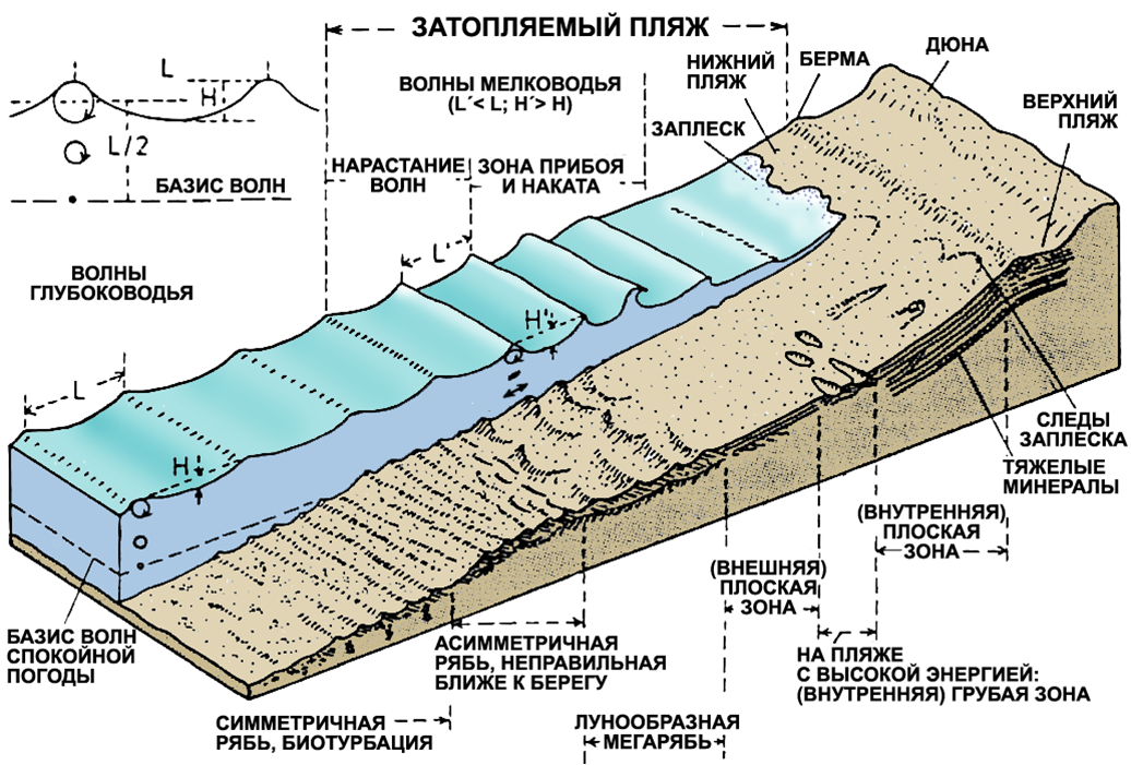 Седиментационная модель волнового побережья